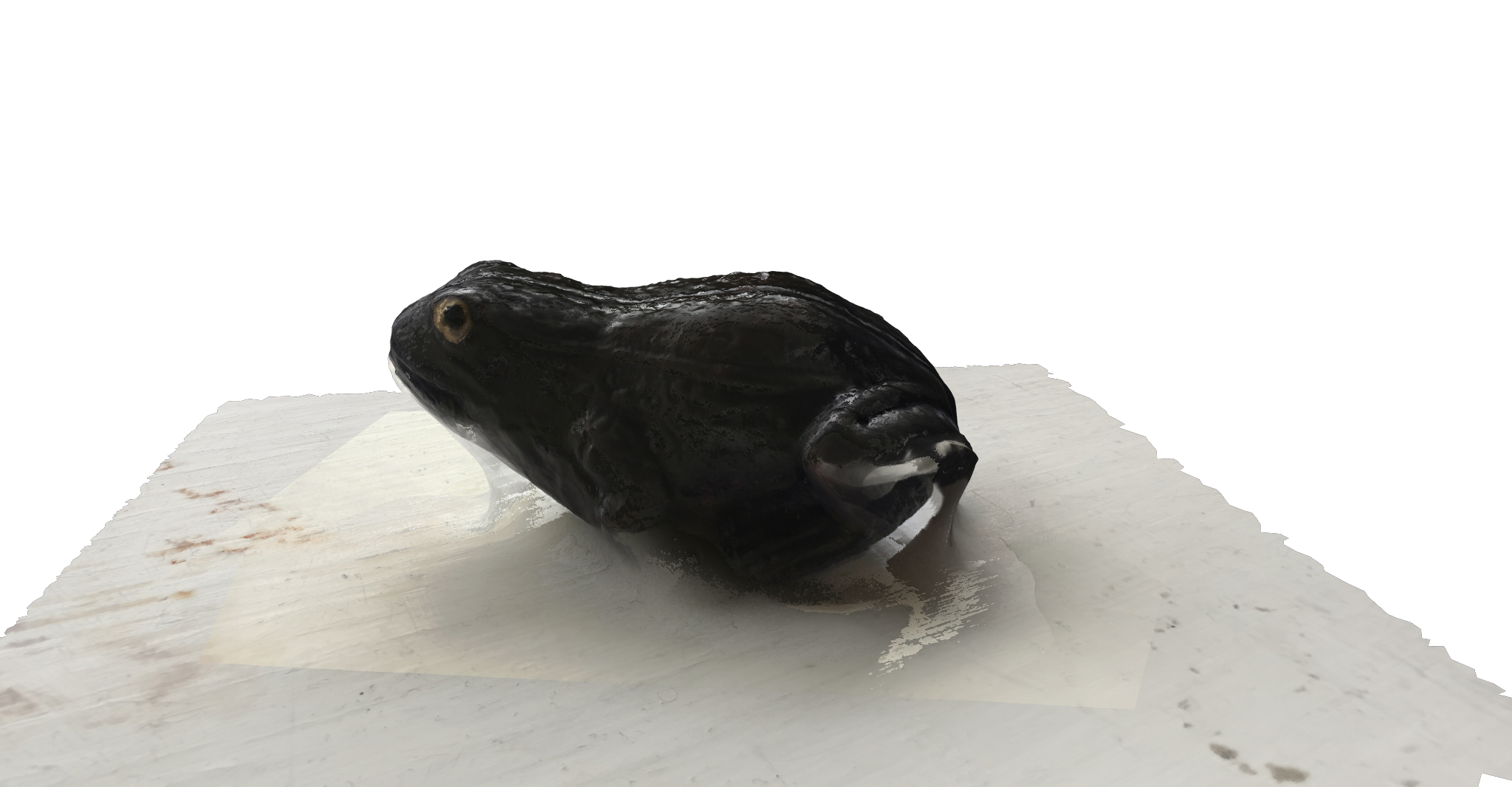 Photogrammetry: Grieg’s Frog